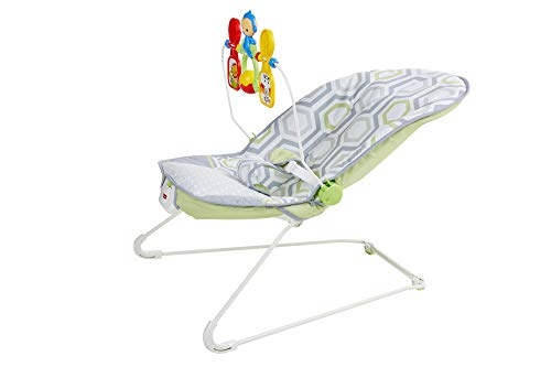Fisher-Price Baby's Bouncer Geo Meadow 5 Fisher-Price Baby's Bouncer Geo Meadow