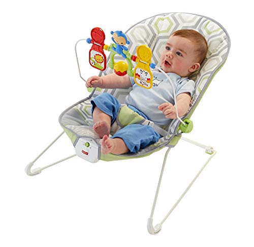 Fisher-Price Baby's Bouncer Geo Meadow 2 Fisher-Price Baby's Bouncer Geo Meadow