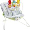 Fisher-Price Baby's Bouncer Geo Meadow
