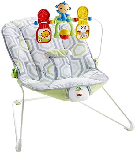 Fisher-Price Baby's Bouncer Geo Meadow 1 Fisher-Price Baby's Bouncer Geo Meadow