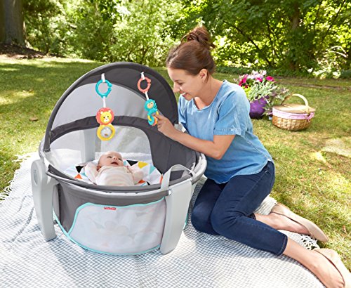 Fisher-Price On-the-Go Baby Dome, Grey/Blue/Yellow/White 7 Fisher-Price On-the-Go Baby Dome, Grey/Blue/Yellow/White